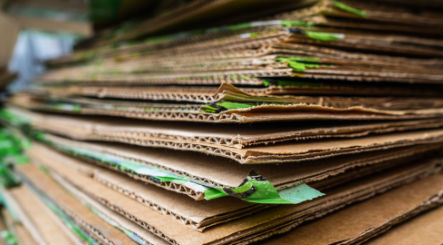 Qué tipos de papel se pueden reciclar y qué usos podemos darle? -  Distribución de papel Castilla y León, S.A